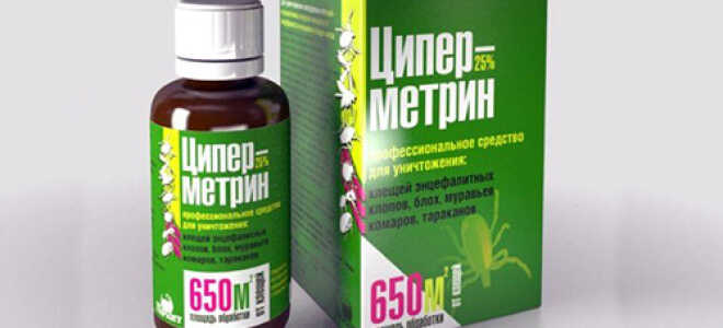 Чем опрыскать растения от крестоцветной блошки? Эффективные препараты