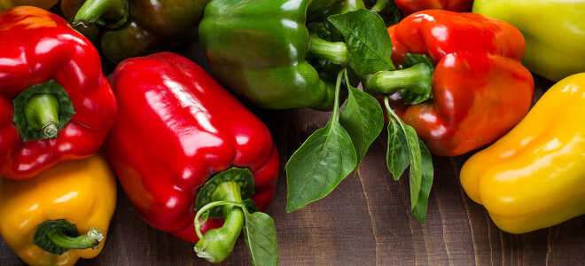 Лунный календарь посадки перца в феврале 2021 года