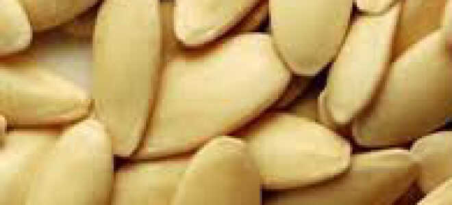 Как выращивать огурцы без химии