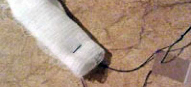 Агротехника выращивания моркови в природном земледелии