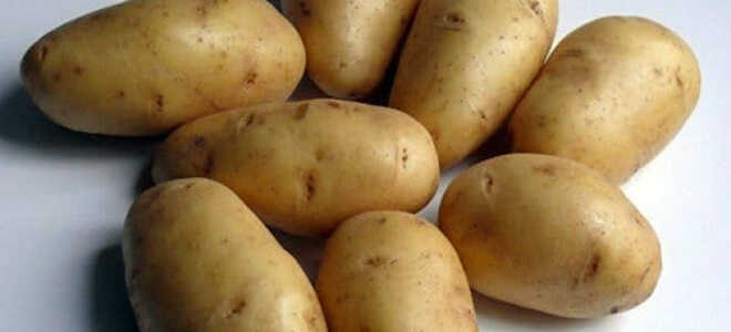 Самые вкусные сорта картофеля: описание, фото