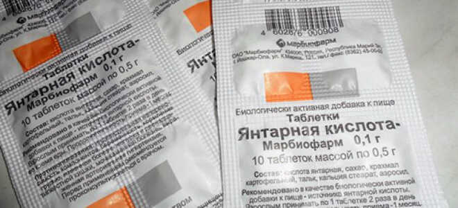 Янтарная кислота в огороде и в саду