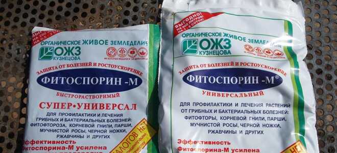 Как обработать семена фитоспорином перед посадкой — пошаговая инструкция