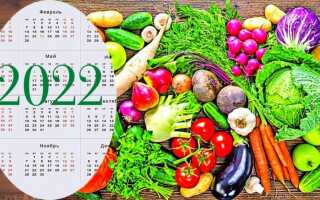 Лунный календарь работ садовода по месяцам на 2022 год: таблица