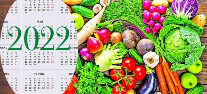 Лунный календарь работ садовода по месяцам на 2022 год: таблица