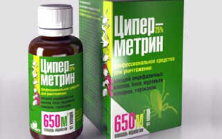 Чем опрыскать растения от крестоцветной блошки? Эффективные препараты