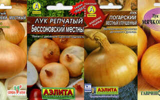 Выгонка пера лука в земле