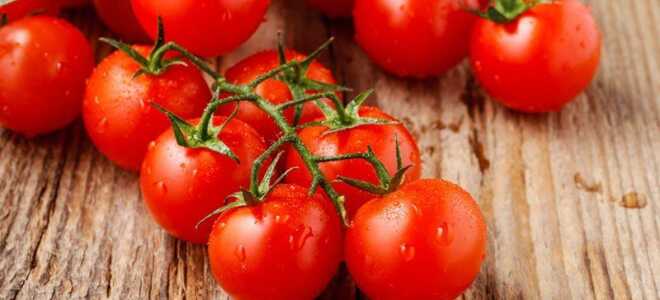 Выращивание рассады помидор в домашних условиях пошагово с фото