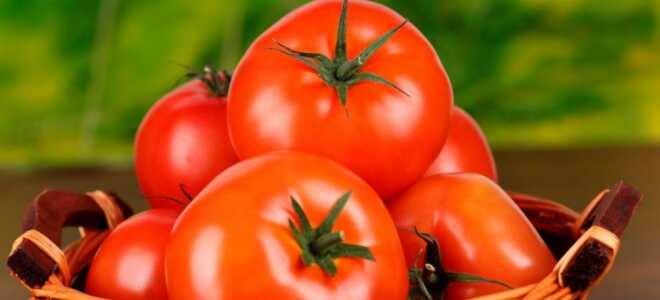 Посадочные дни для томатов в марте 2021 года