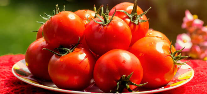 Лунный календарь посадки помидор в марте 2021 года