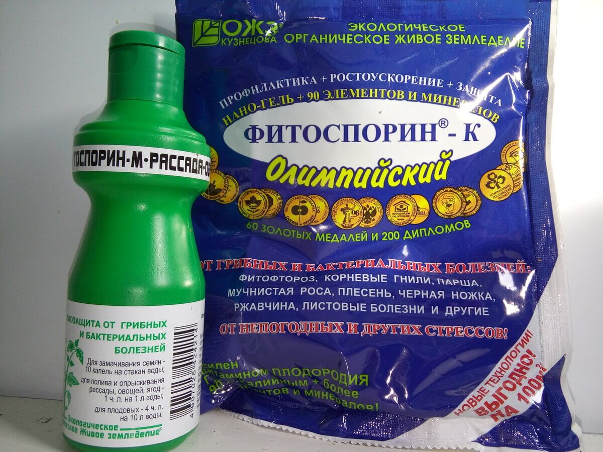 Для профилактики и лечения инфекций