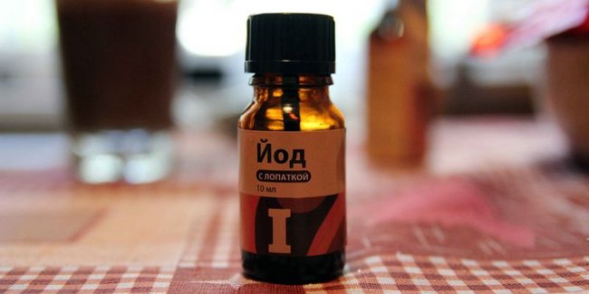 Чем поливать перец для хорошего урожая