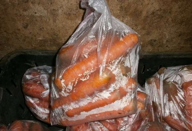 Хранение моркови в подвале