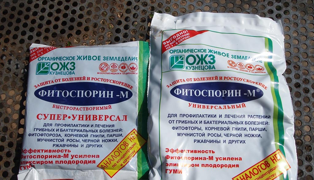 Обработка семян фитоспорином перед посадкой