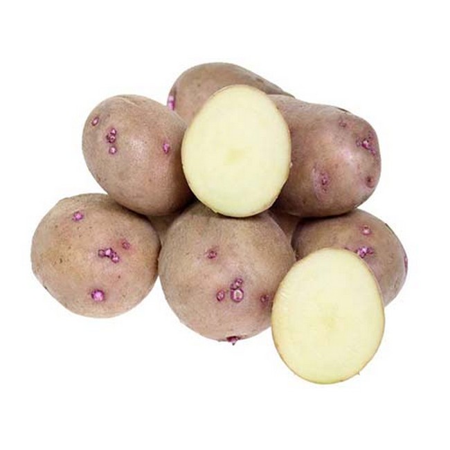 Самый урожайный сорт картофеля для Средней полосы 