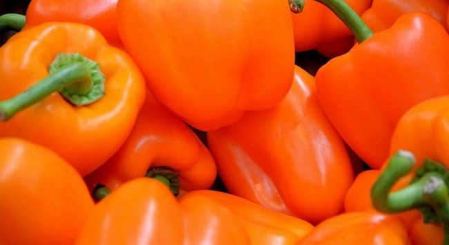 Лучшие сорта перца для теплицы из поликарбоната