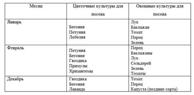 Когда сажать баклажаны на рассаду в 2019 году по лунному календарю