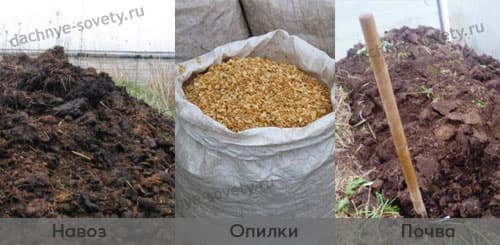 Что нужно для грядки под сверхранние огурцы