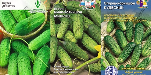 Компактные огурцы