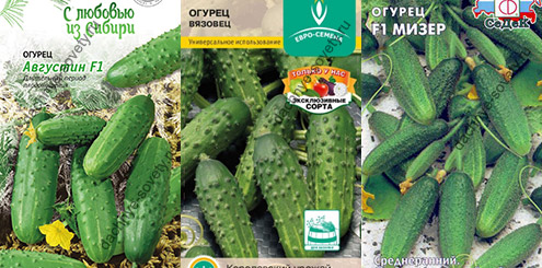 Компактные огурцы