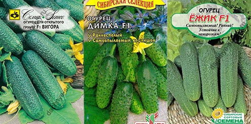 Компактные огурцы