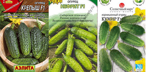 Компактные огурцы