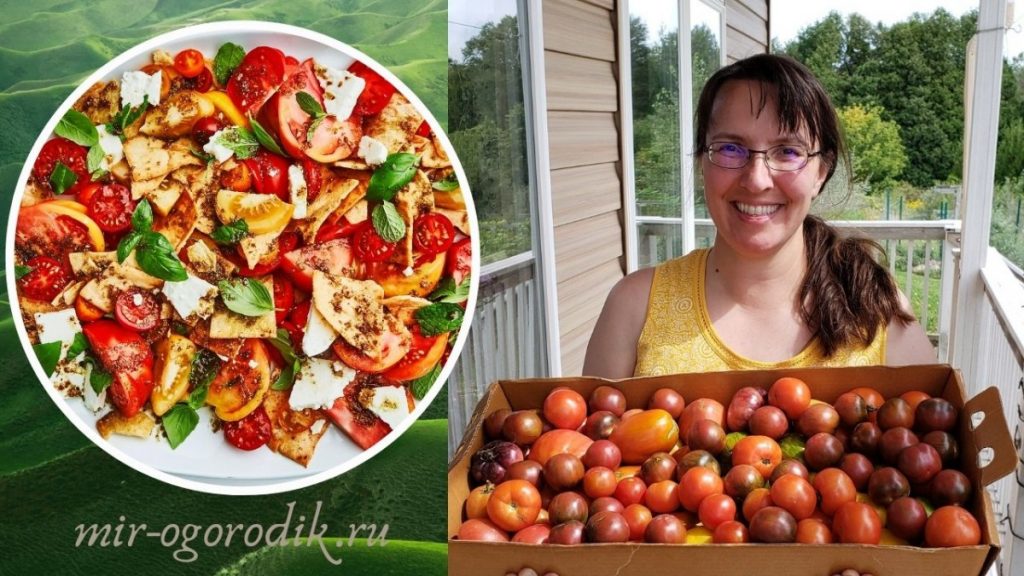devushka-tomaty-i-salat