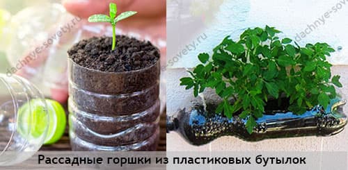 Тара под рассаду из пластиковых бутылок