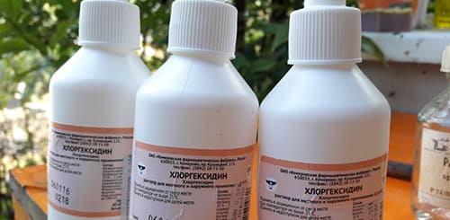 Хлоргексидин - лучший протравитель семян
