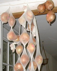 Хранение лука в чулках