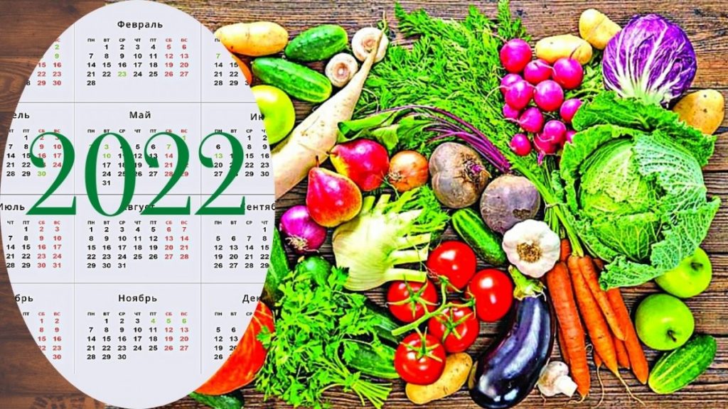 kalendar-i-krasivye-ovoschi