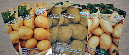 Выращивание картофеля из семян