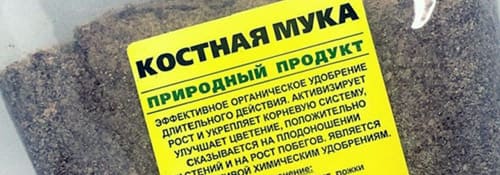 Костной и рыбной мукой удобряют лунке при высадке томатов в грунт