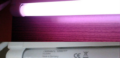 Люминисцентные фитолампы OSRAM Fluora