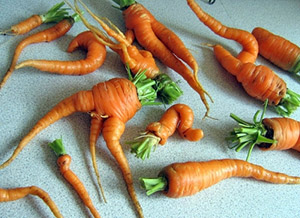 Уродливая морковь