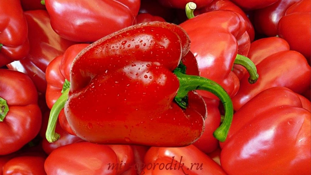 neskolko-krasnyh-pertsev