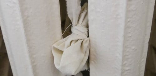 Обычно семена огурца прогревают на батарее