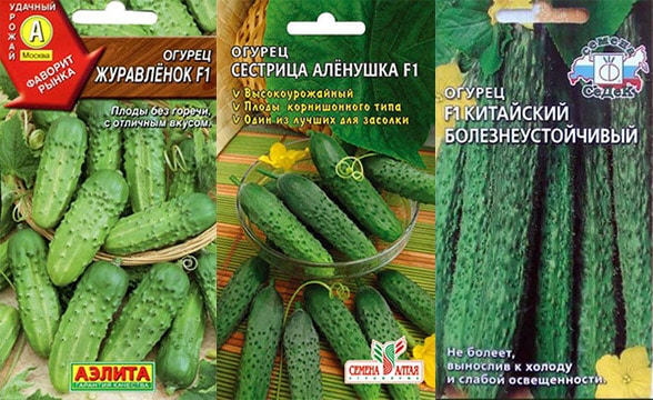Среднеспелые огурчики Выносливые сорта