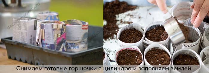 Бумажные рассадные стаканчики своими руками