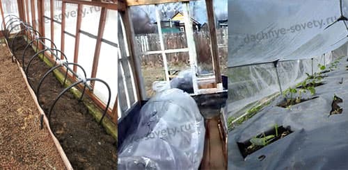 Парник для укрытия ранних огурцов