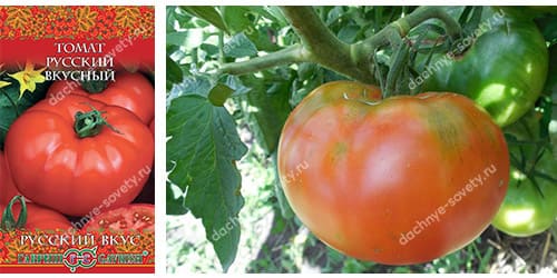 Очень необычный сорт томата Русский вкусный
