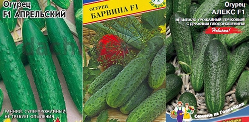 Устойчивые к болезням огурцы