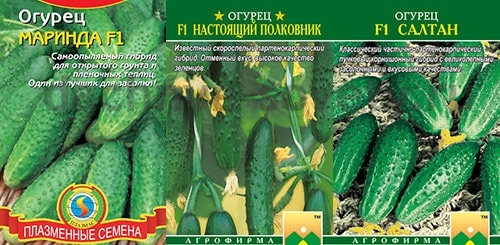 Самоопыляющиеся сорта огурца с устойчивостью к болезням 