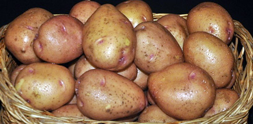 Вкусные сорта картофеля для жарки: Фото 1