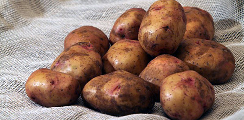 Самые вкусные сорта картофеля: Фото 1