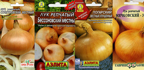Как вырастить зеленый лук дома