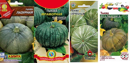 Зеленая тыква