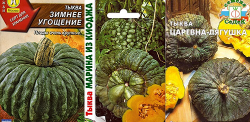 Зеленые необычные сорта тыквы