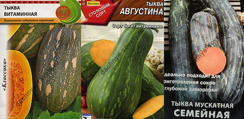 Тыквы мускатные зеленые